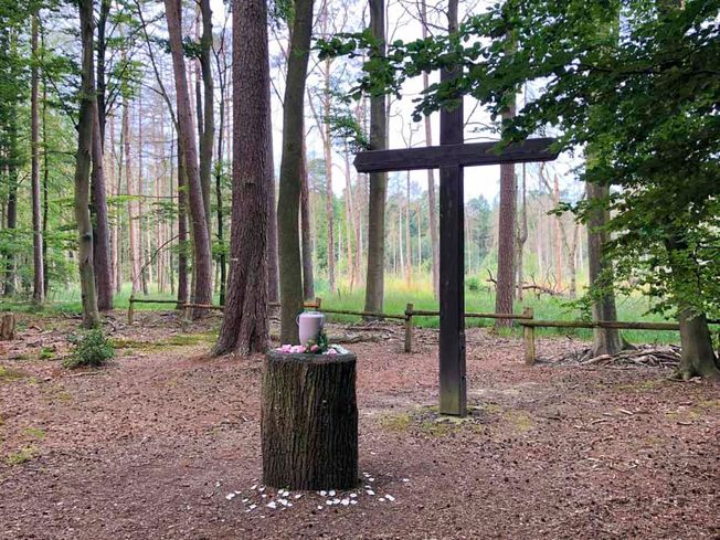 Bestattungsinstitut Dohrmann in Halstenbek Bestattungsarten Waldbestattung Sarg mit Rosen
